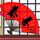 国光帮帮忙